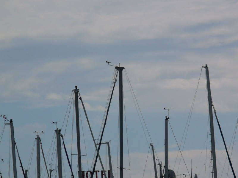 Sok szélmérő Siófokon, a kikötőben