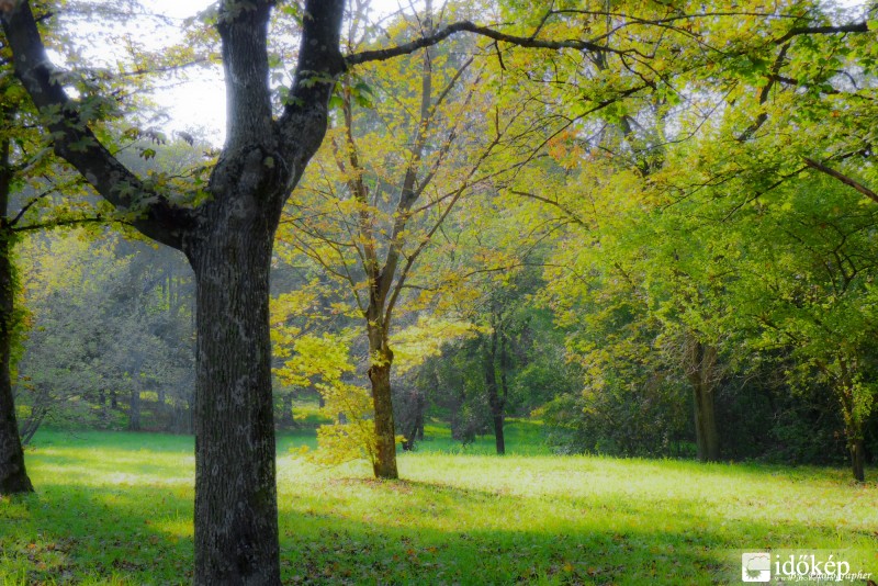 Gyopárosi erdő Orosházán