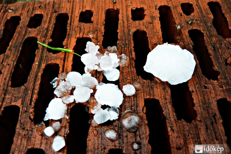 Orosháza 2010. május 12.