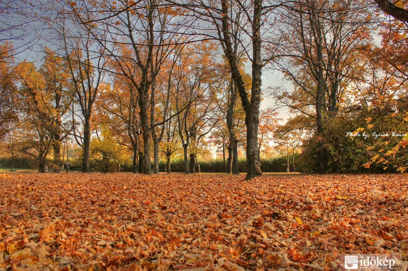 Egy szép őszi délután