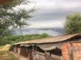 Borota