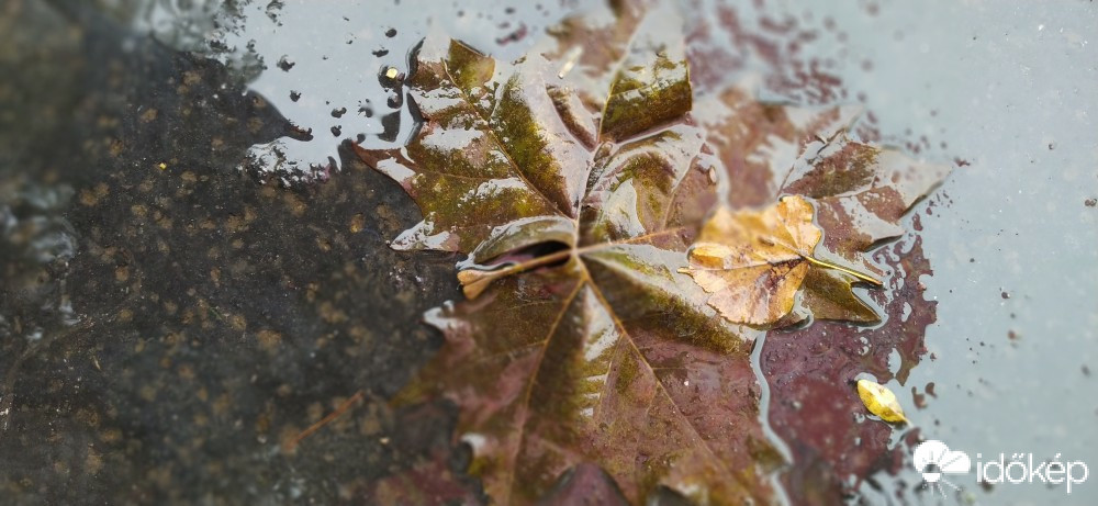 Budapest III.ker - Békásmegyer