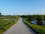 Halásztelek