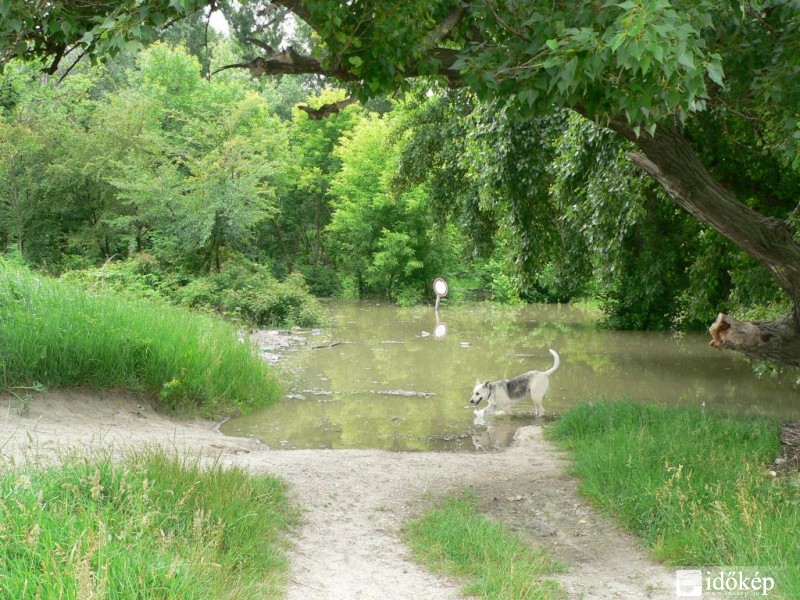 Tököl