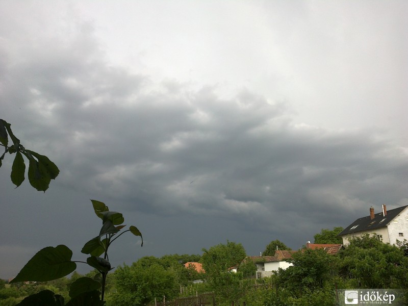 Szár