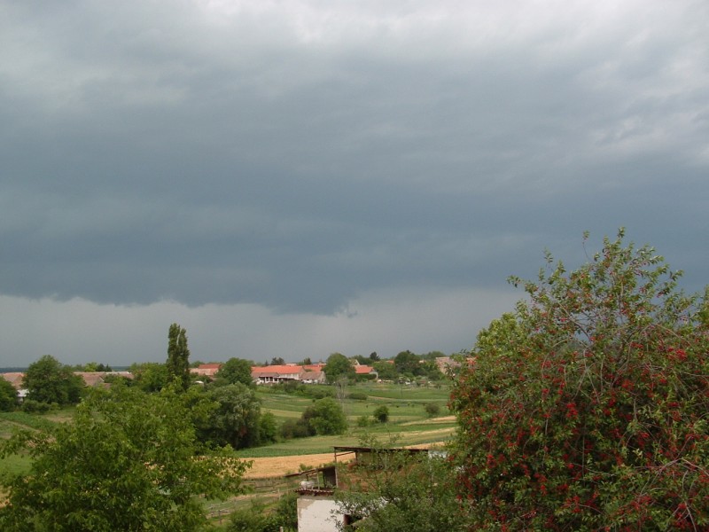 Megérkeztek