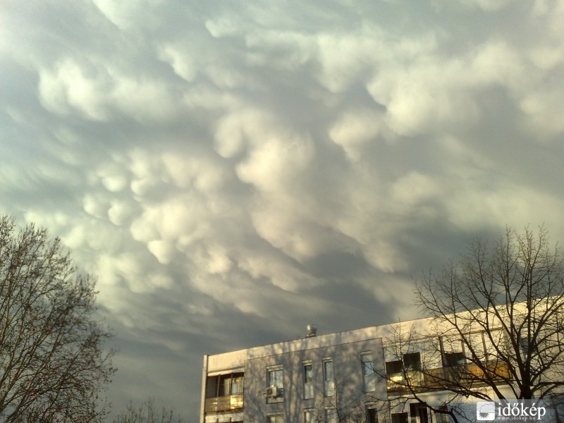 Pécs a vihar után III.