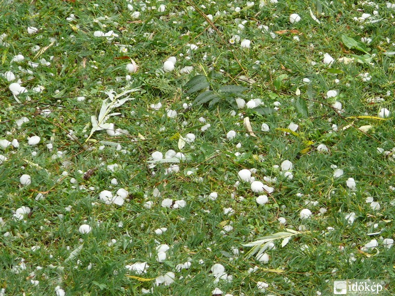 Nagyatád 2009.06.16