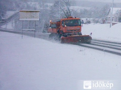 hókotró