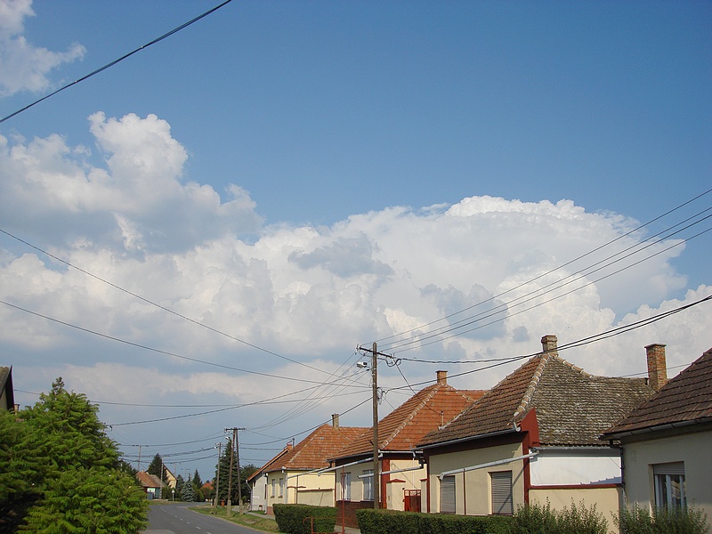 Dávod