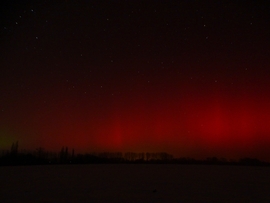 Aurora Borealis 2026.01.19