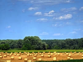 Aratás után