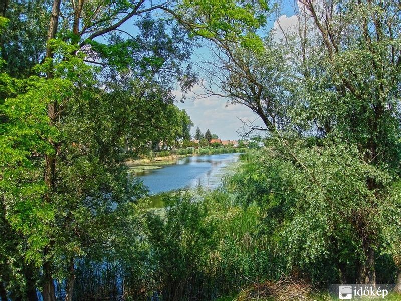 Ferenc-csatorna