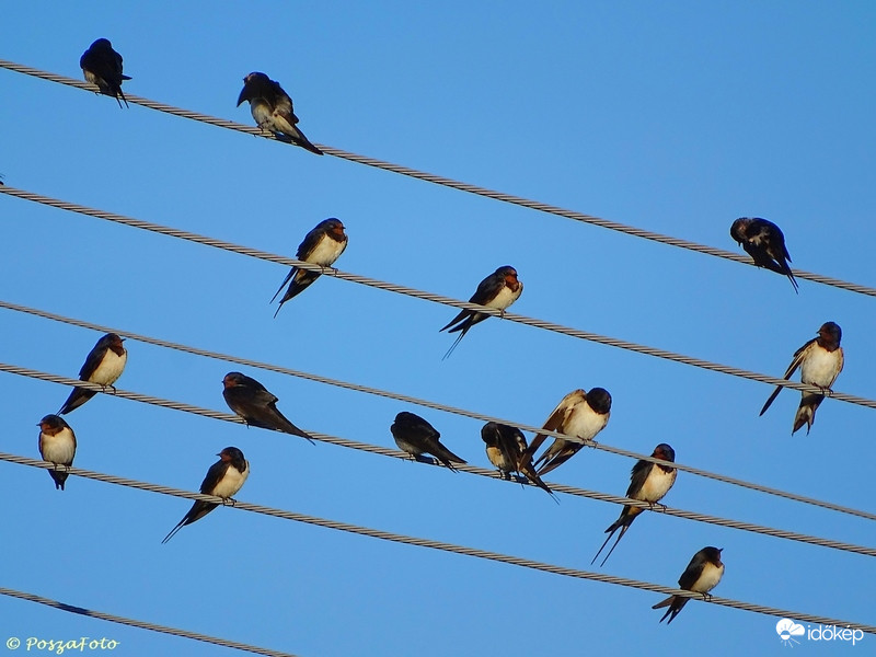 Reggeli napfürdőzés