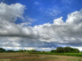 Dávod