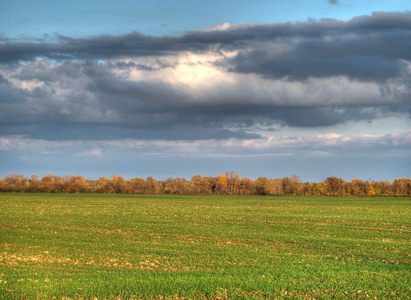 Határ