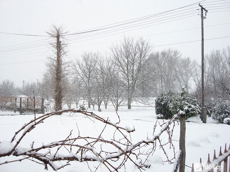 Dávod