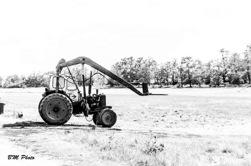 Magányosan a pusztában