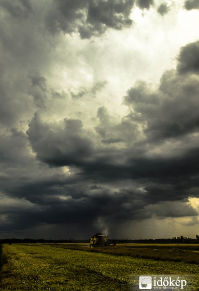 Vihar előtti aratás