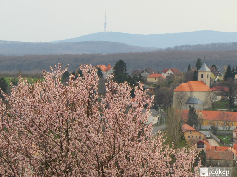 Hosszúhetényi kilátás