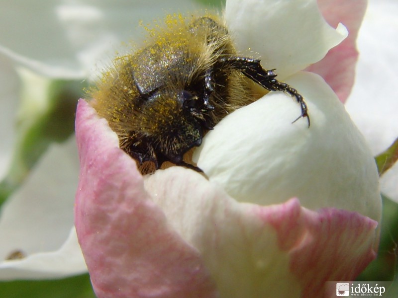 Kicsit összekentem magam