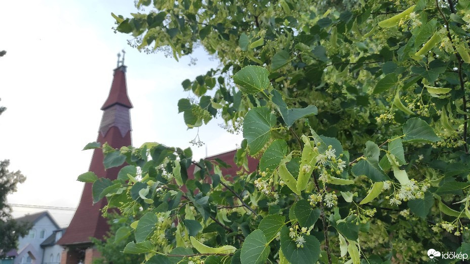 Gyál