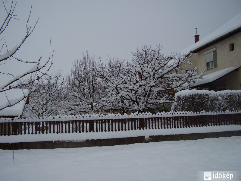 Kutya nem ette meg a telet