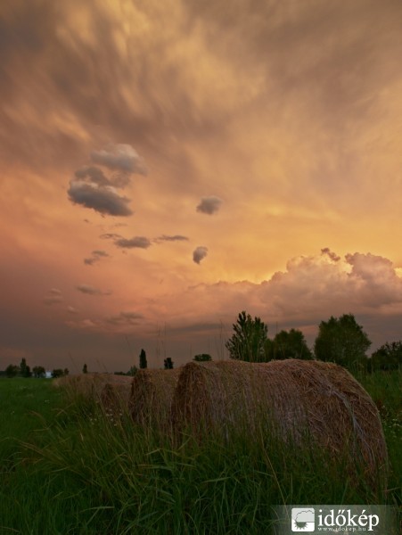 Polgár 2011: 07. 11.