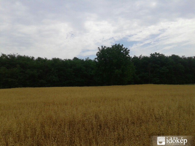 Tényő