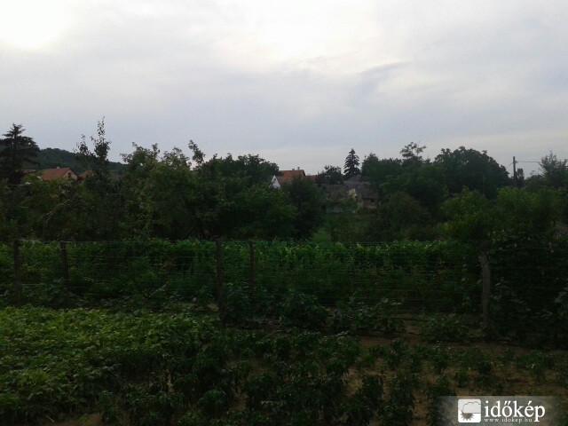 Tényő