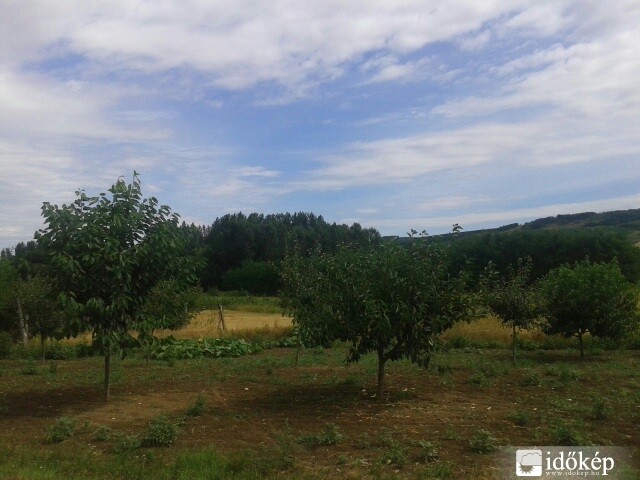 Tényő