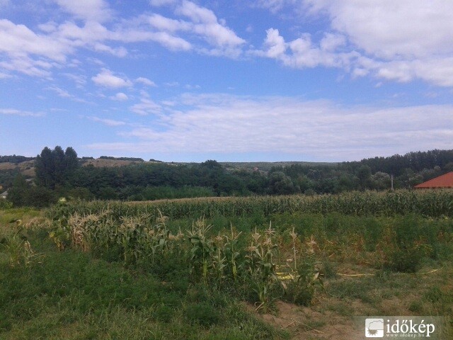 Tényő