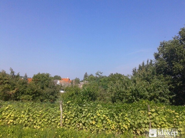Tényő