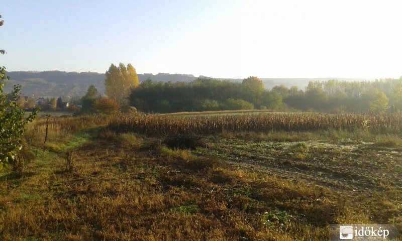 Tényő