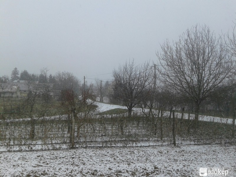 Tényő