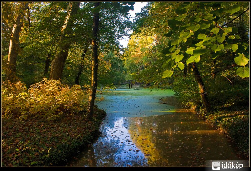Ősz Alcsútdobozon