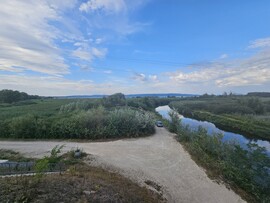 Vörs