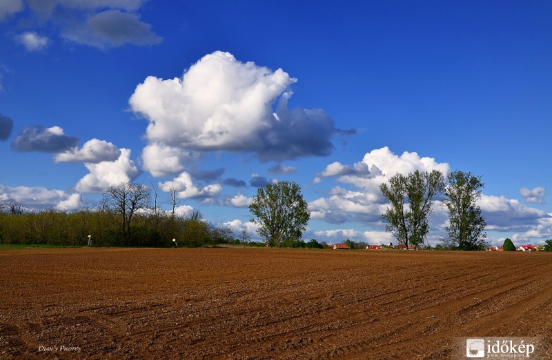 "Bevetésre kész.."