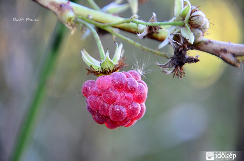 Decemberi tavasz..??
