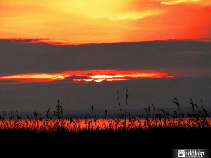 Naplemente a nádas felett..
