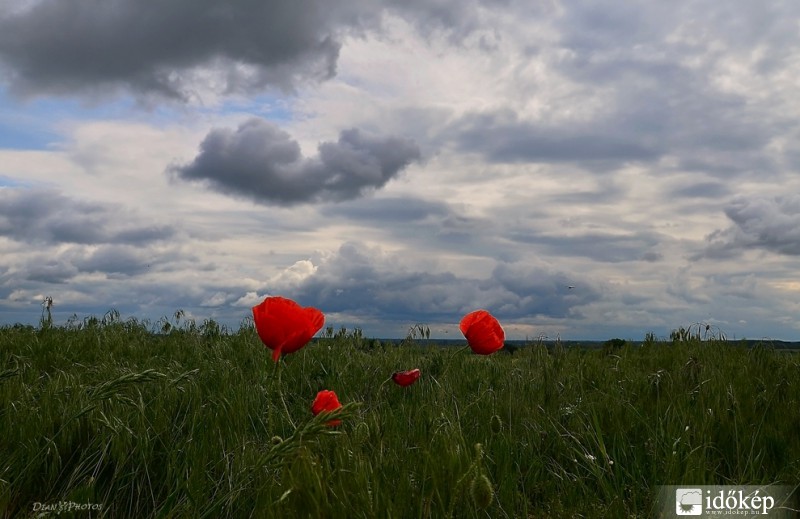 Az elvonuló vihar után..