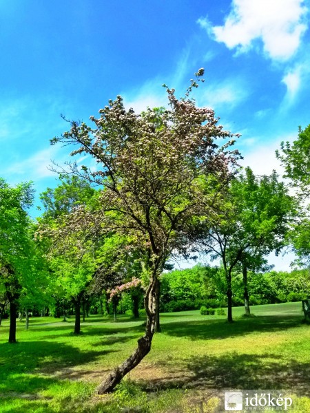 Megtörve, de büszkén :)