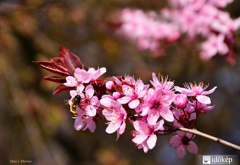 Jó reggelt, tavasz! :)