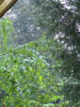 Taksony