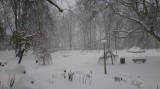 Kaposújlak