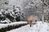 UzsakZoltan fotója