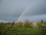 Balatonszabadi