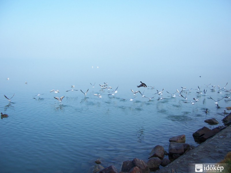 Balatonszabadi