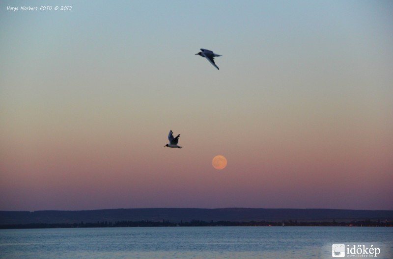 Holdkelte sirályokkal 