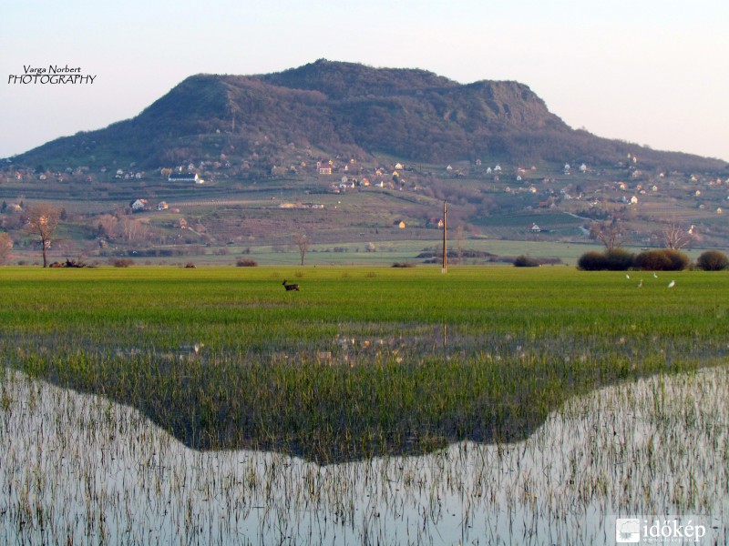 Ébredő ártér Szent-György hegy alatt